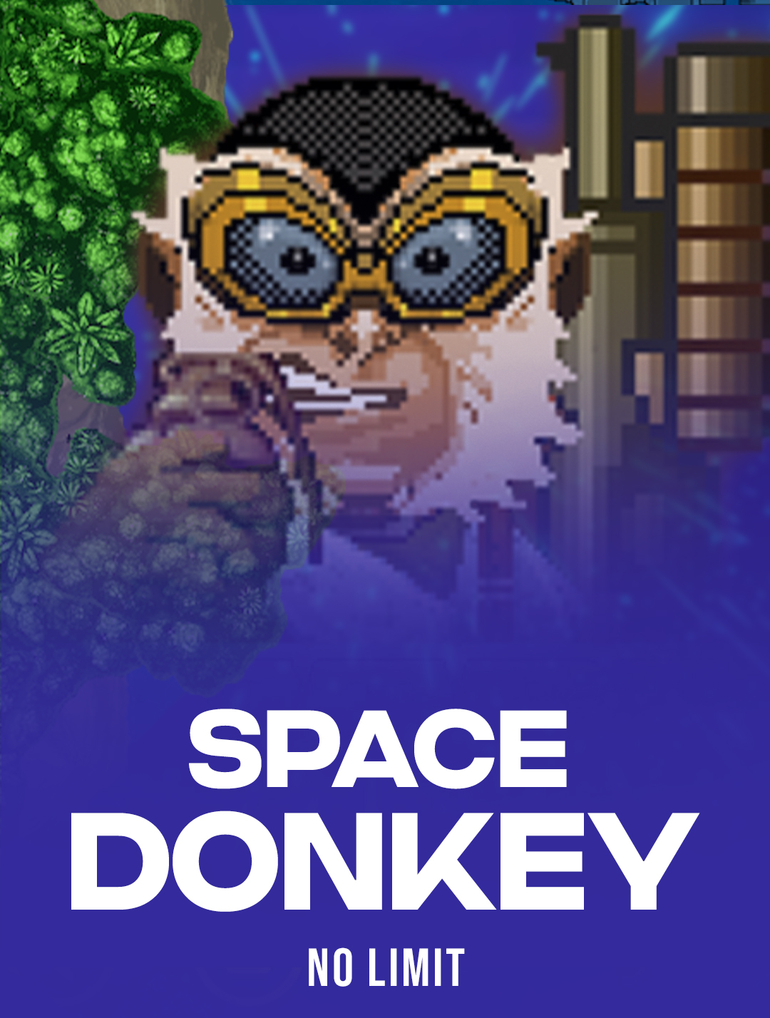 Space Donkey